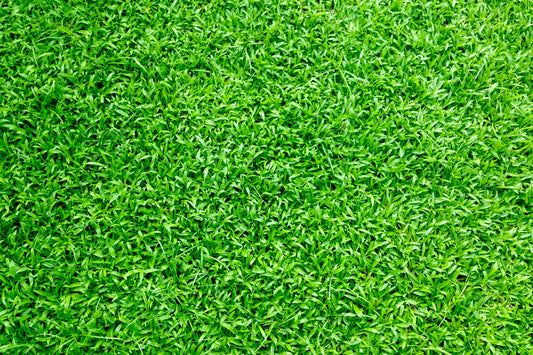 top down view of artificial grass