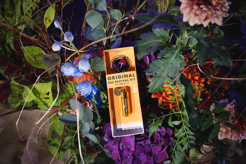 Beevive Supports RHS Britain in Bloom Awards