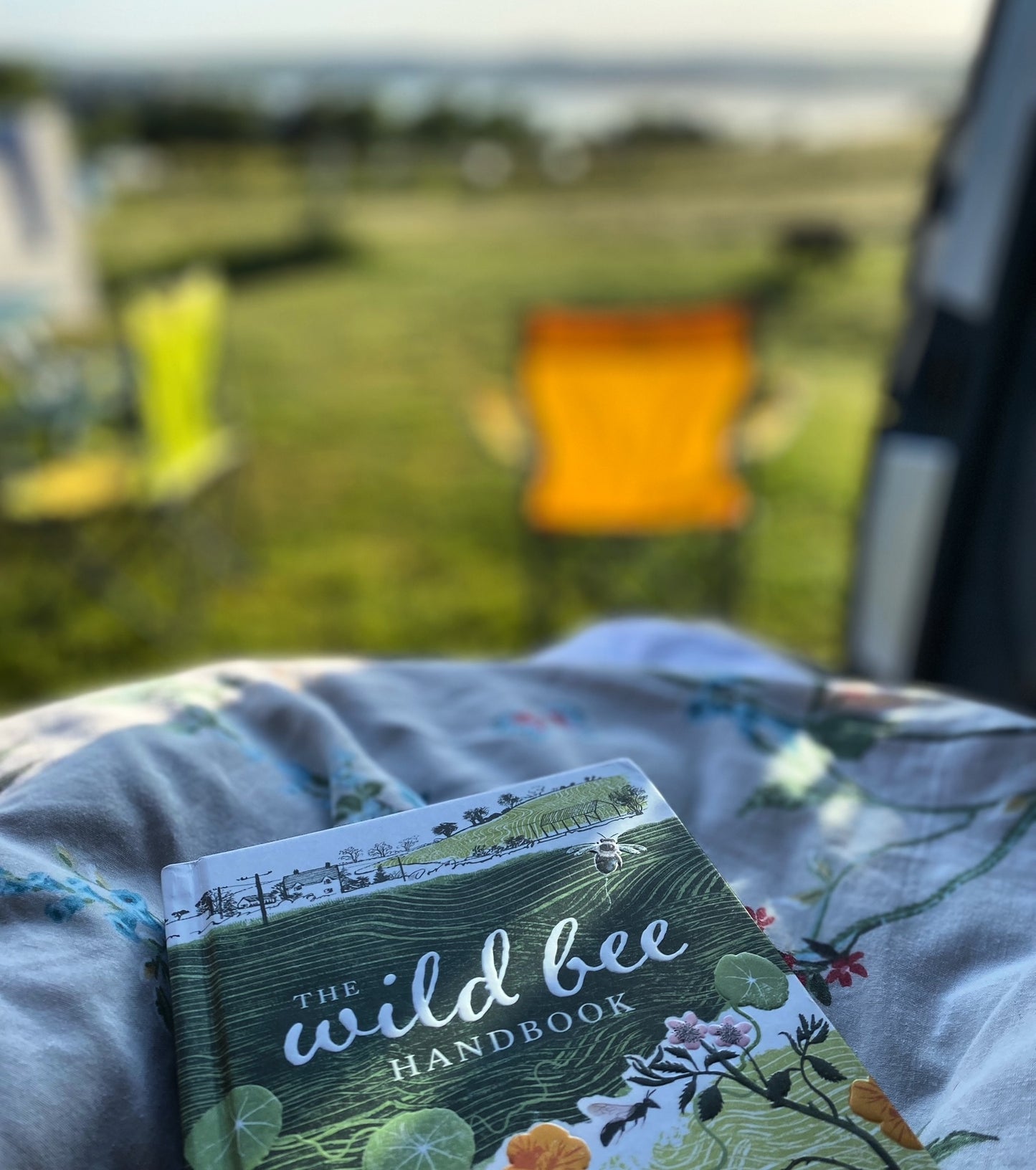 The Wild Bee Handbook: The Amazing Lives of Our Wild Species and How to Help Them Thrive by Sarah Wyndham Lewis