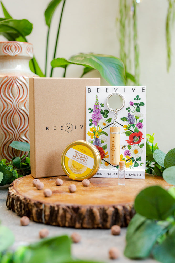 Bee Lovers’ Gift Box - Eco-Friendly Bee Revival Kit & Wildflower Seed Balls