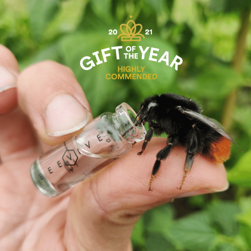 gift of the year award 2021 beevive
