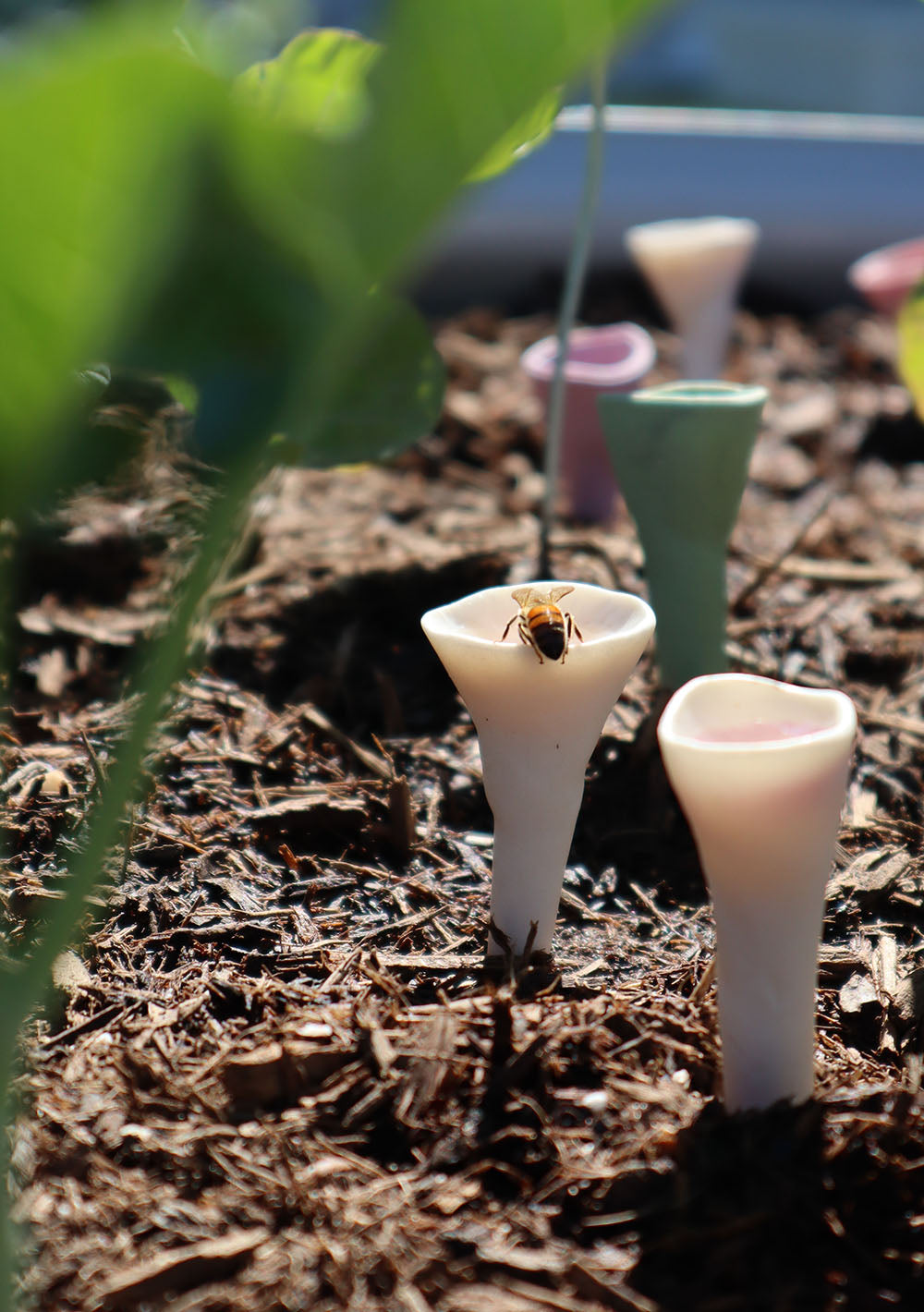 Bee Cups™ Watering Stations