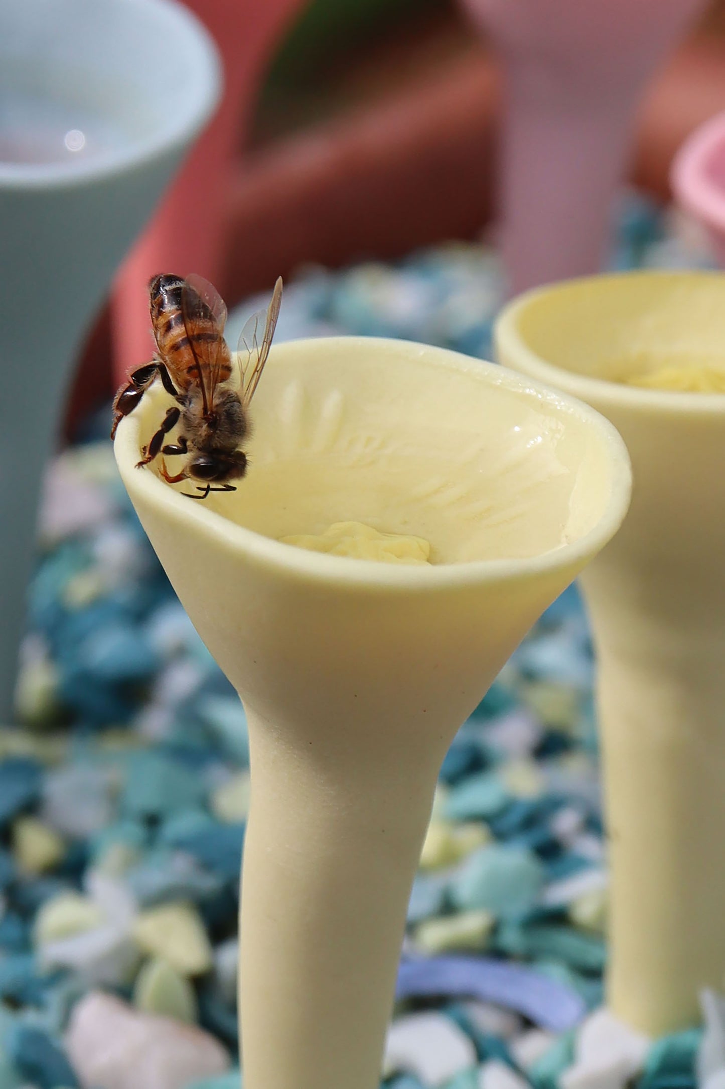 Bee Cups™ Watering Stations