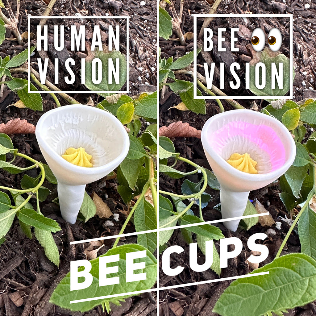 Bee Cups™ Watering Stations