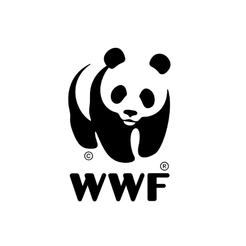 wwf official logo
