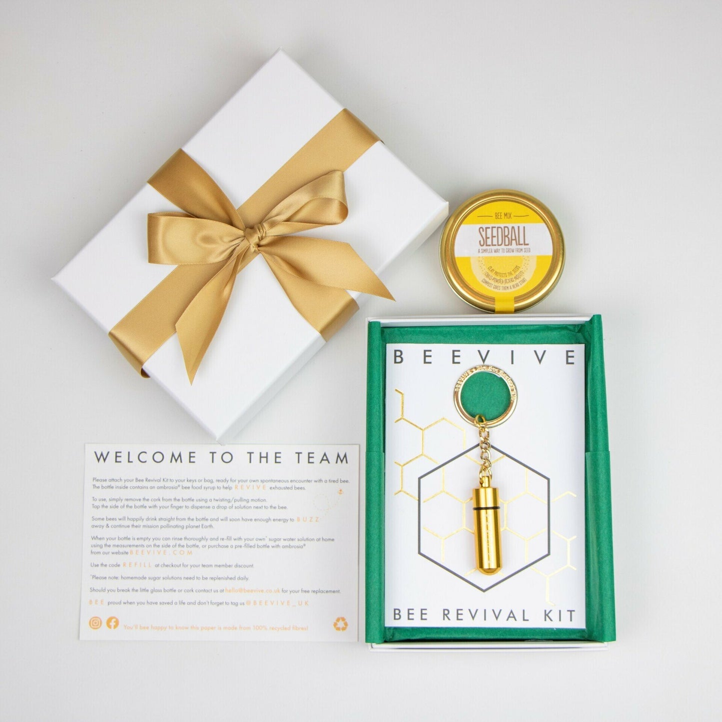 gold bee revival kit, seedball mix and welcome leaflet buzzing gift box beevive.com