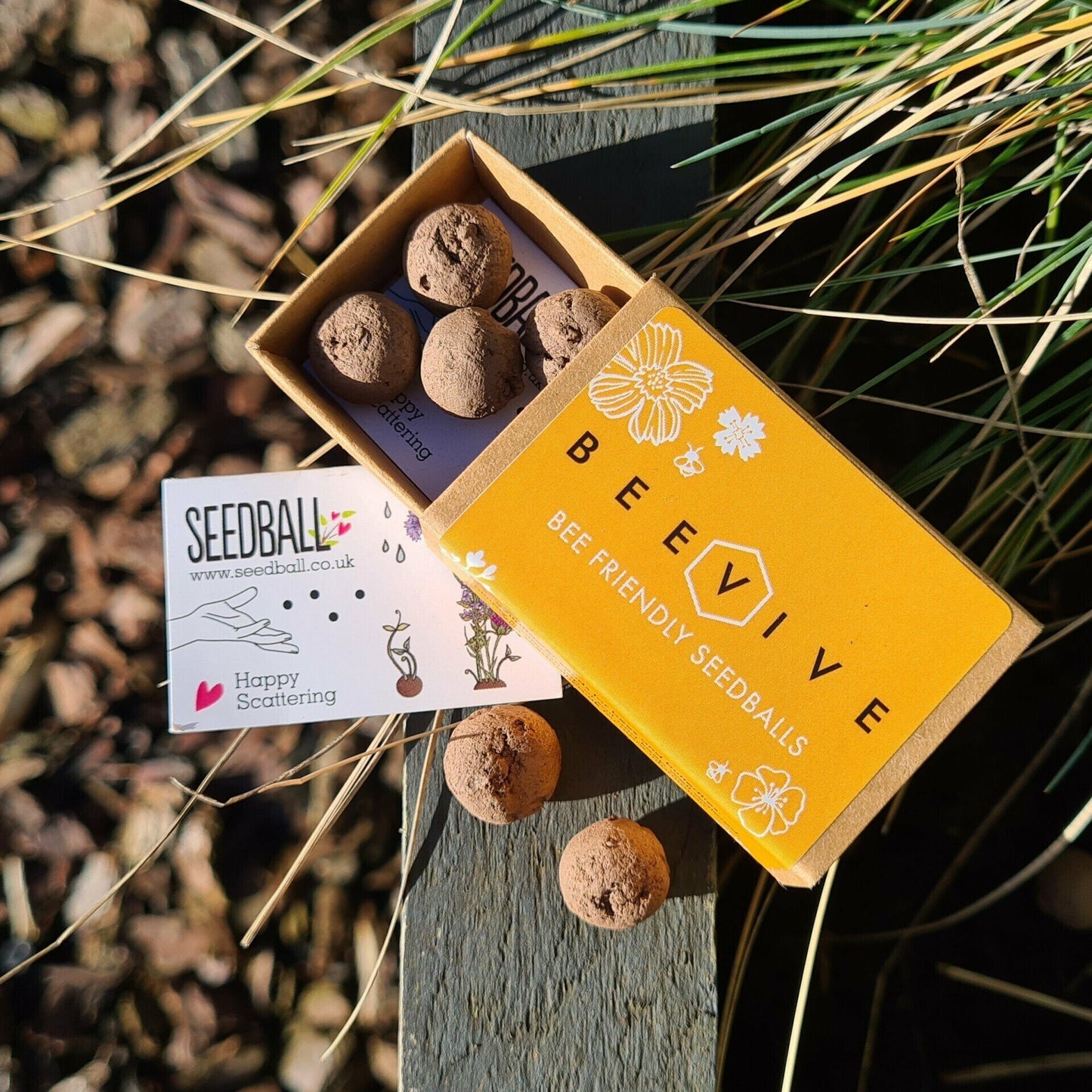 top down view of opened beevive bee friencly seed balls