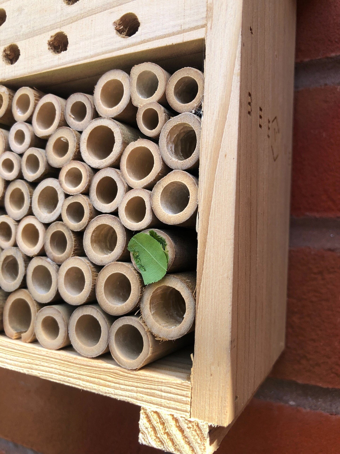 bee hotel 2.0 in situ located on a red brick wall. tiny green leaf covering one of the wooden tubes - available from beevive.com