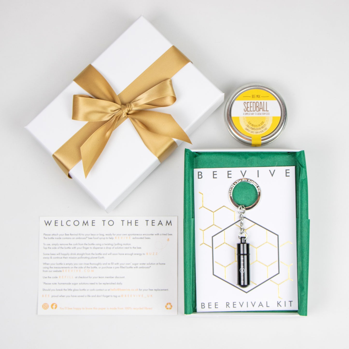 black bee revival kit, seedball mix and welcome leaflet buzzing gift box beevive.com