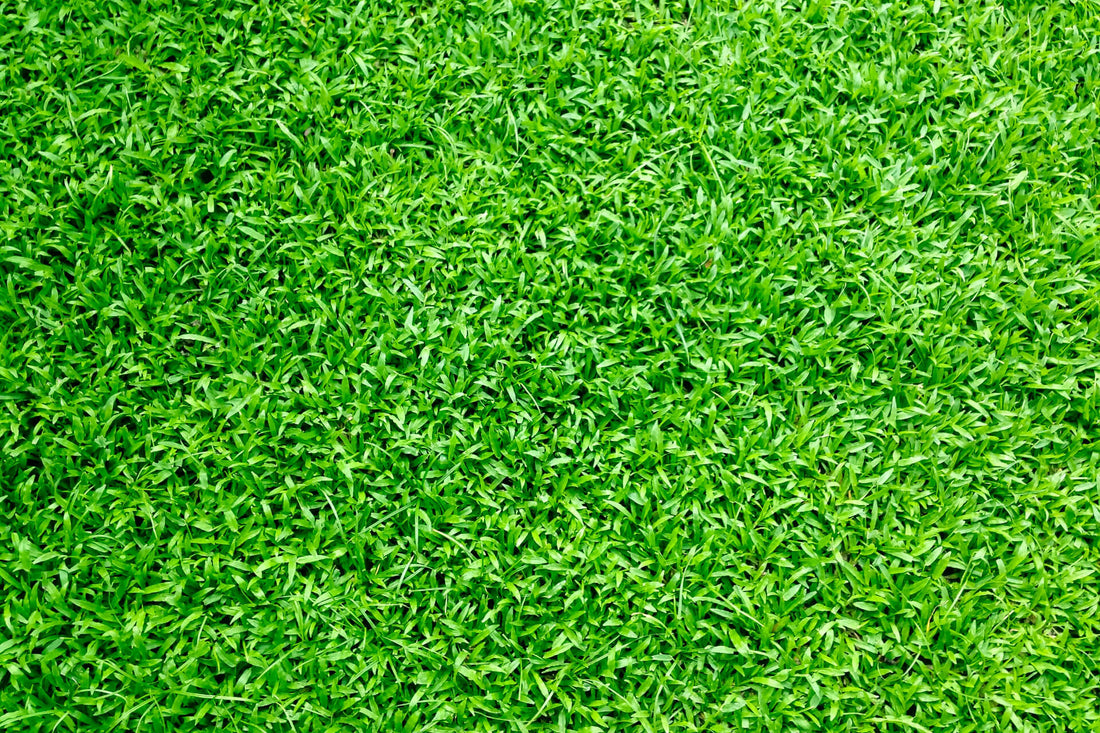 top down view of artificial grass