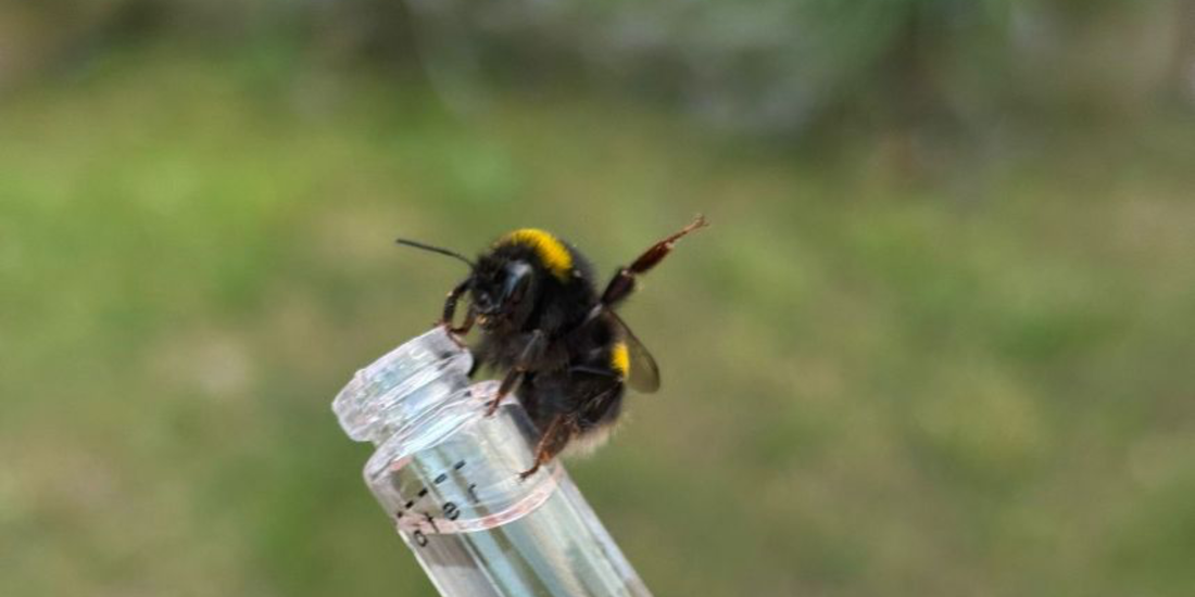 Beevive’s 2025 Highlights