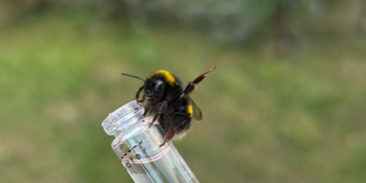 Beevive’s 2025 Highlights