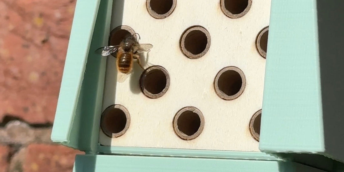 How We Turn Recycled Ocean Plastic into a Solitary Bee Hotel