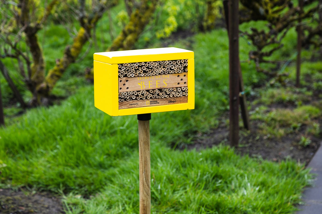 Building Bespoke Bee Hotels for National Geographic's Secrets of the Bees