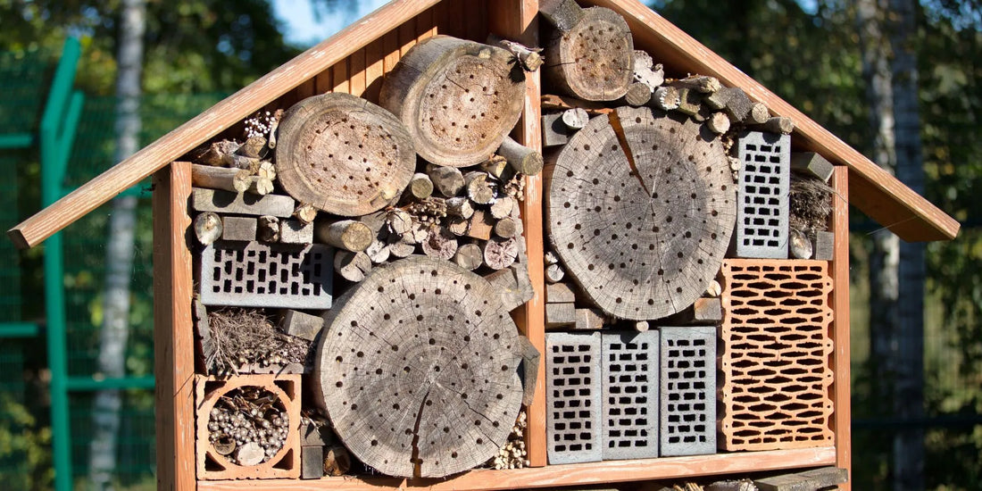 How to Build an Insect Home