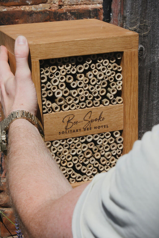 Why Aren’t Bees Using My Bee Hotel? (And How to Fix It)