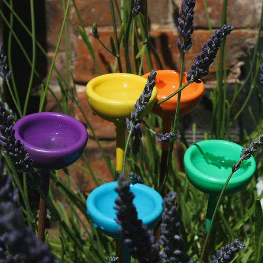 Hand-Forged Colourful Bee Watering Stations