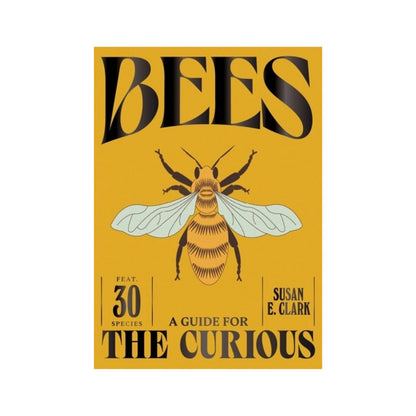 Bees - A Guide for the Curious by Susan E. Clark