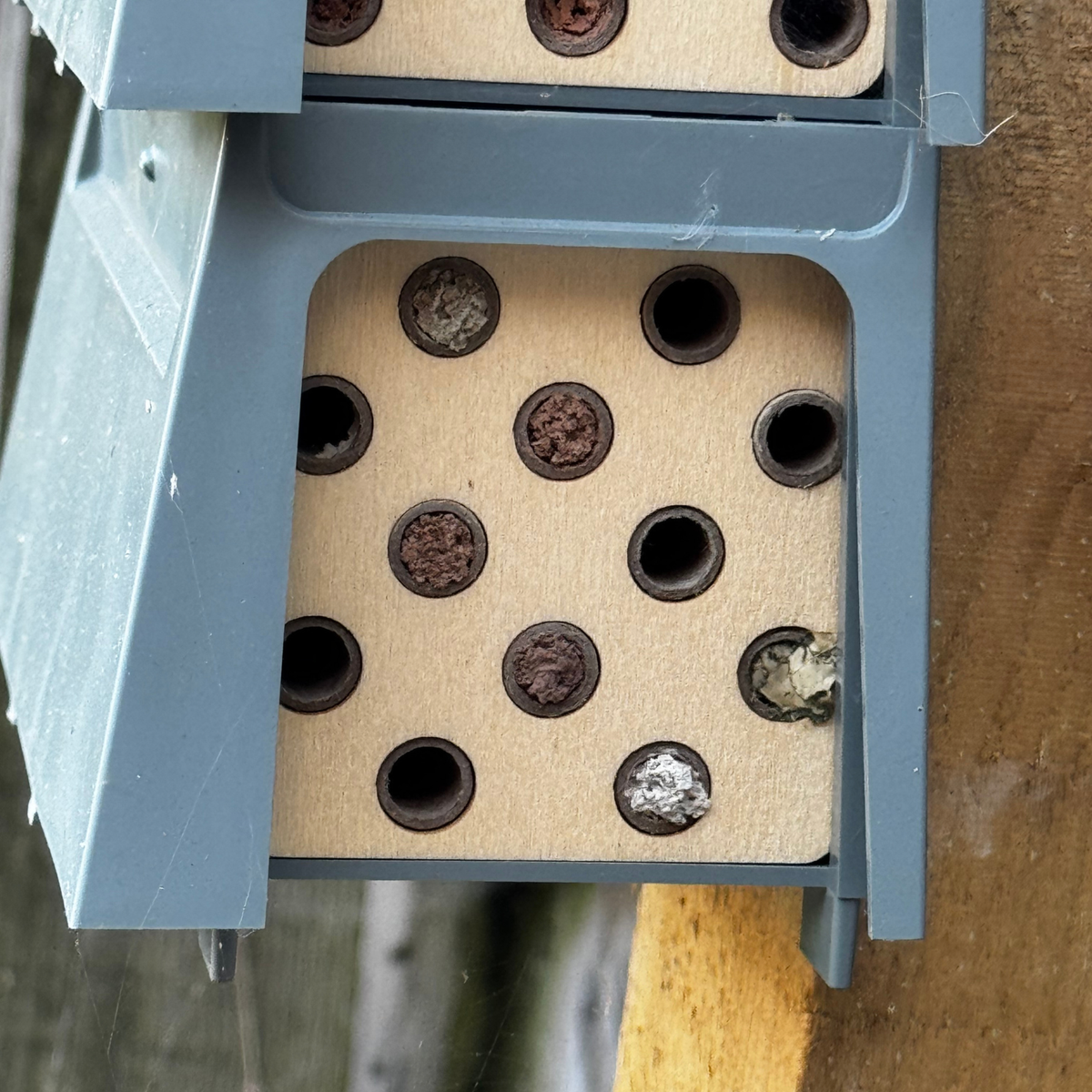 Habitat One - Bee Hotel Made From Traceable Marine Plastic