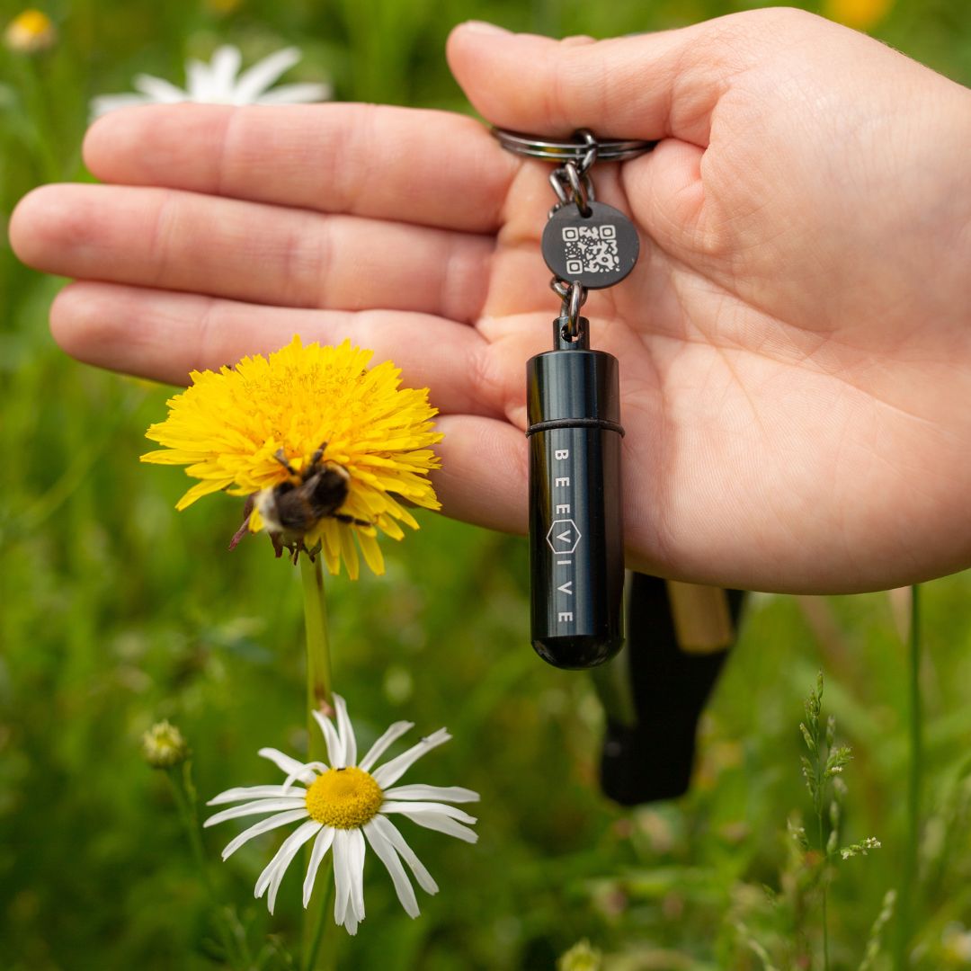 holding a limited edition black bee revival kit and bee id keyring