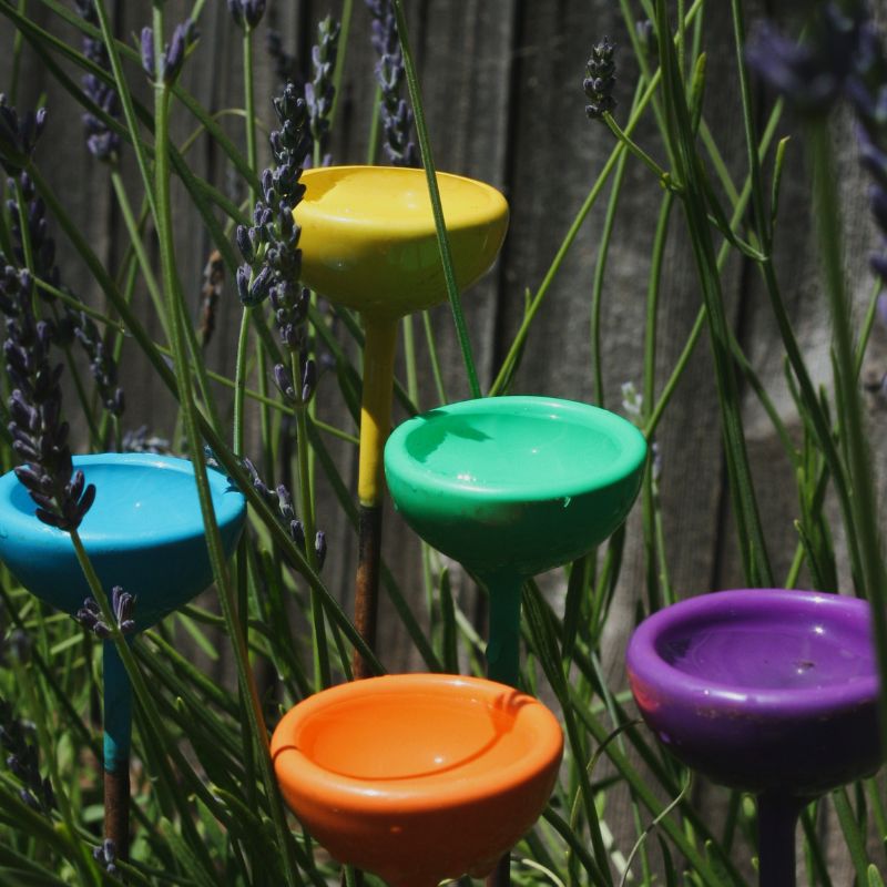 Hand-Forged Colourful Bee Watering Stations
