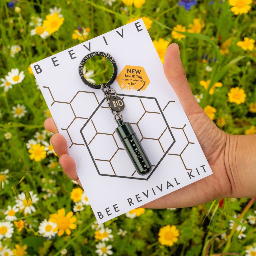 limited edition black bee revival kit and bee id keyring in packaging