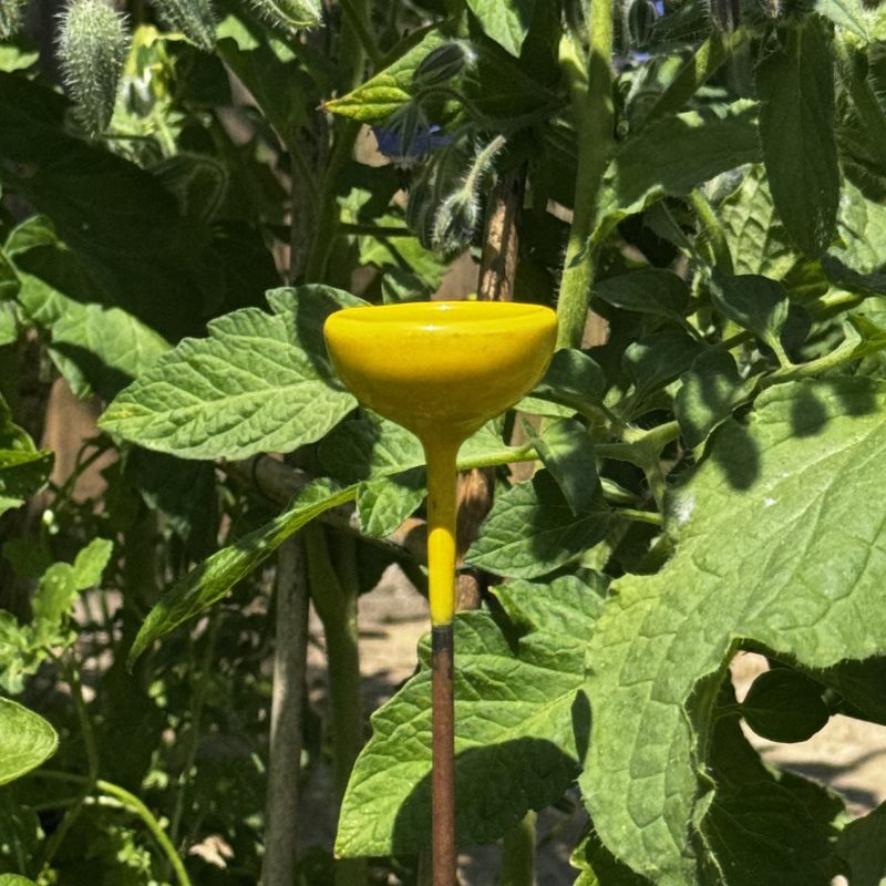 Hand-Forged Colourful Bee Watering Stations