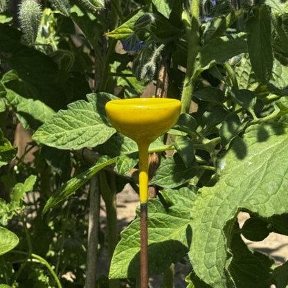 Hand-Forged Colourful Bee Watering Stations