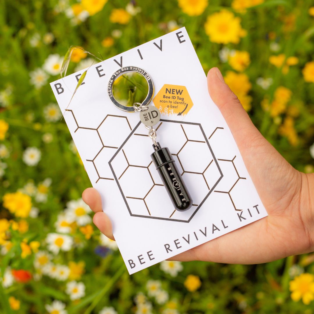 limited edition anthracite grey bee revival kit and bee id keyring in packaging