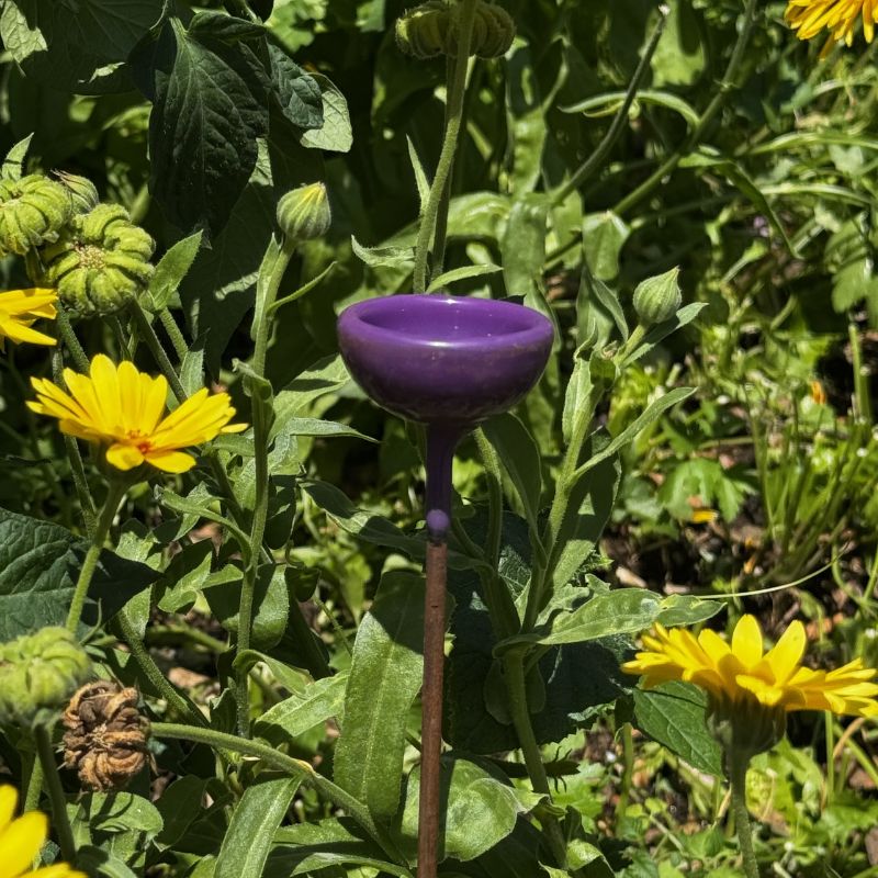 Hand-Forged Colourful Bee Watering Stations
