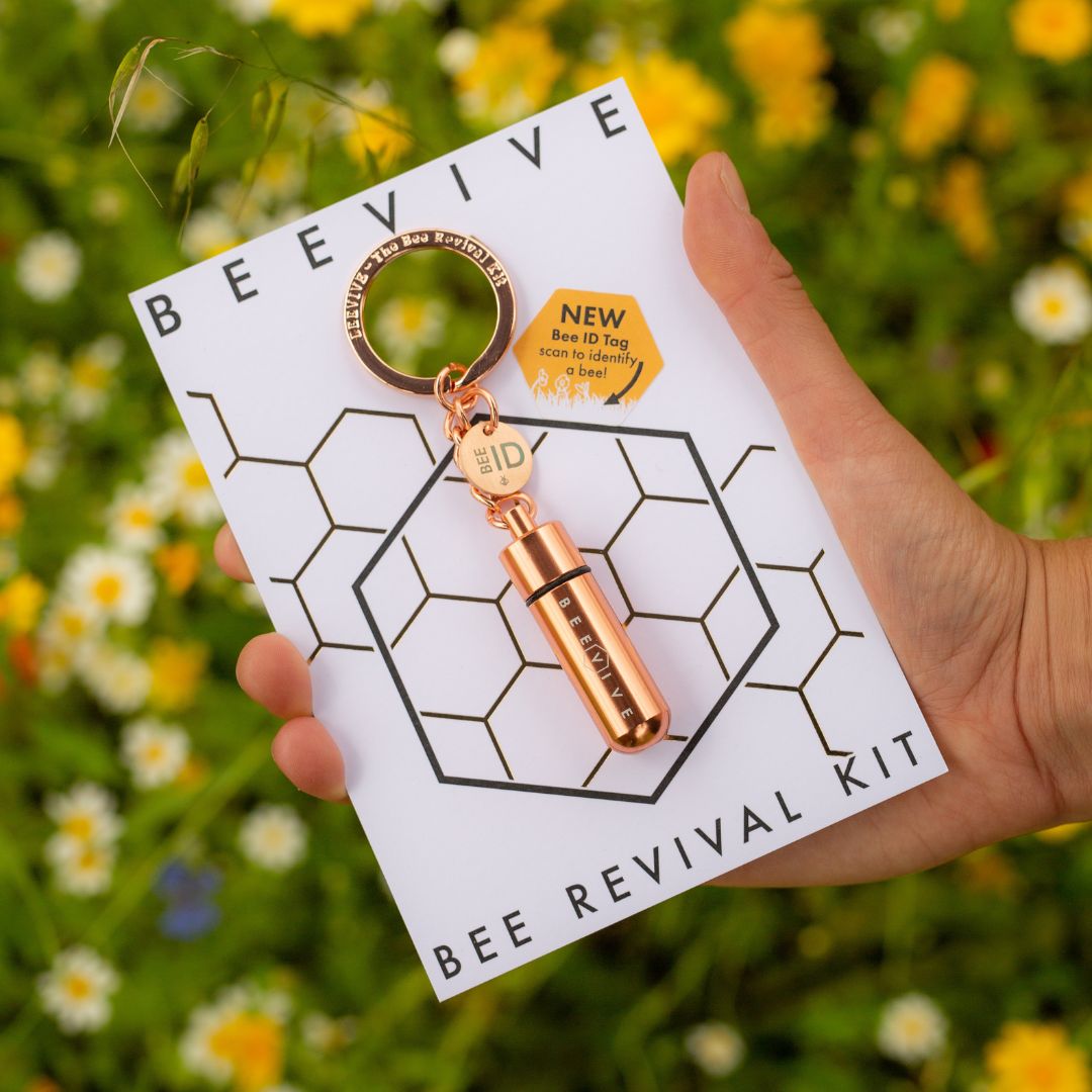 limited edition rose gold bee revival kit and bee id keyring in packaging