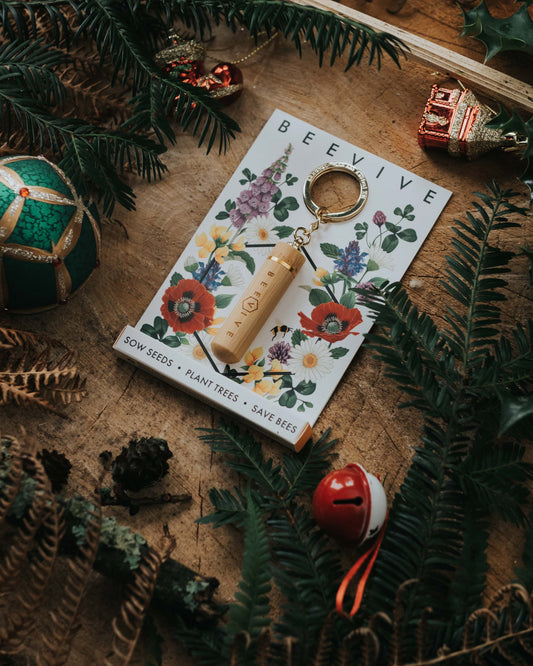 Bee Revival Kit - Bamboo Edition