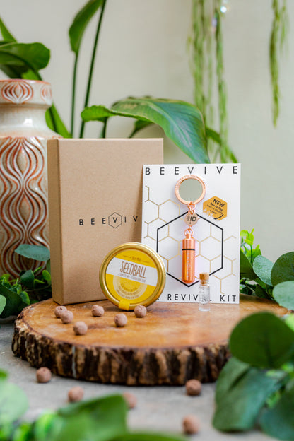 Buzzing Bee Revival Kit Gift Box