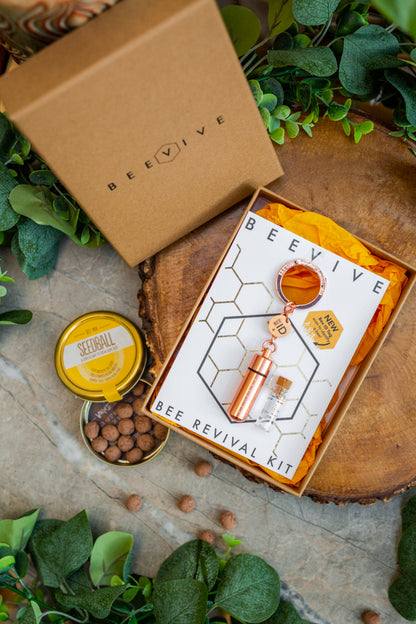 Buzzing Bee Revival Kit Gift Box