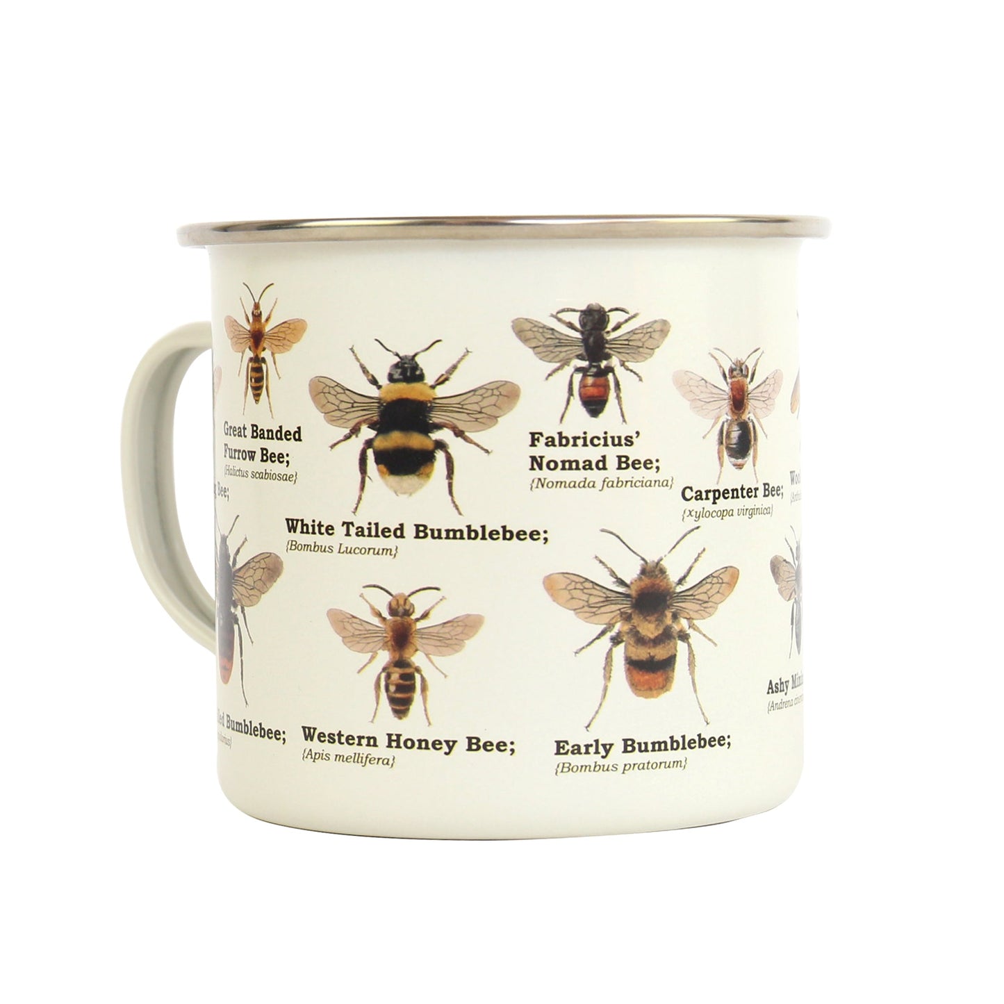 eye level shot of bee identification enamel mug white background