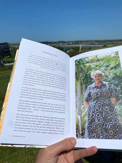 The Wild Bee Handbook: The Amazing Lives of Our Wild Species and How to Help Them Thrive by Sarah Wyndham Lewis