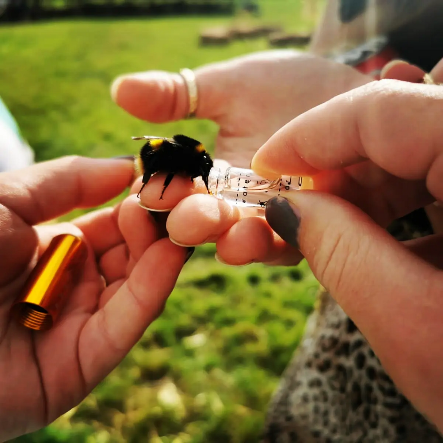 Bee ID Revival Keyring - Limited Edition