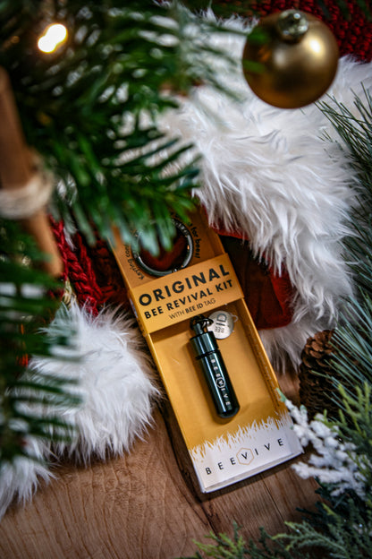 The Original Bee Revival Kit - Black Edition