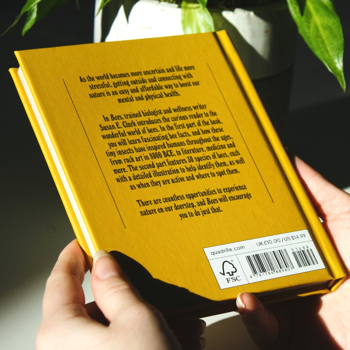 Bees - A Guide for the Curious by Susan E. Clark