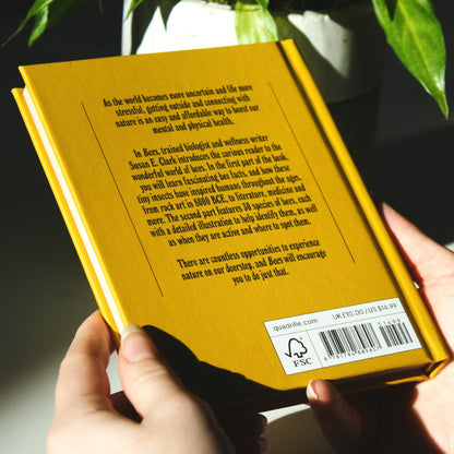 Bees - A Guide for the Curious by Susan E. Clark