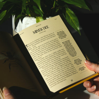 Bees - A Guide for the Curious by Susan E. Clark