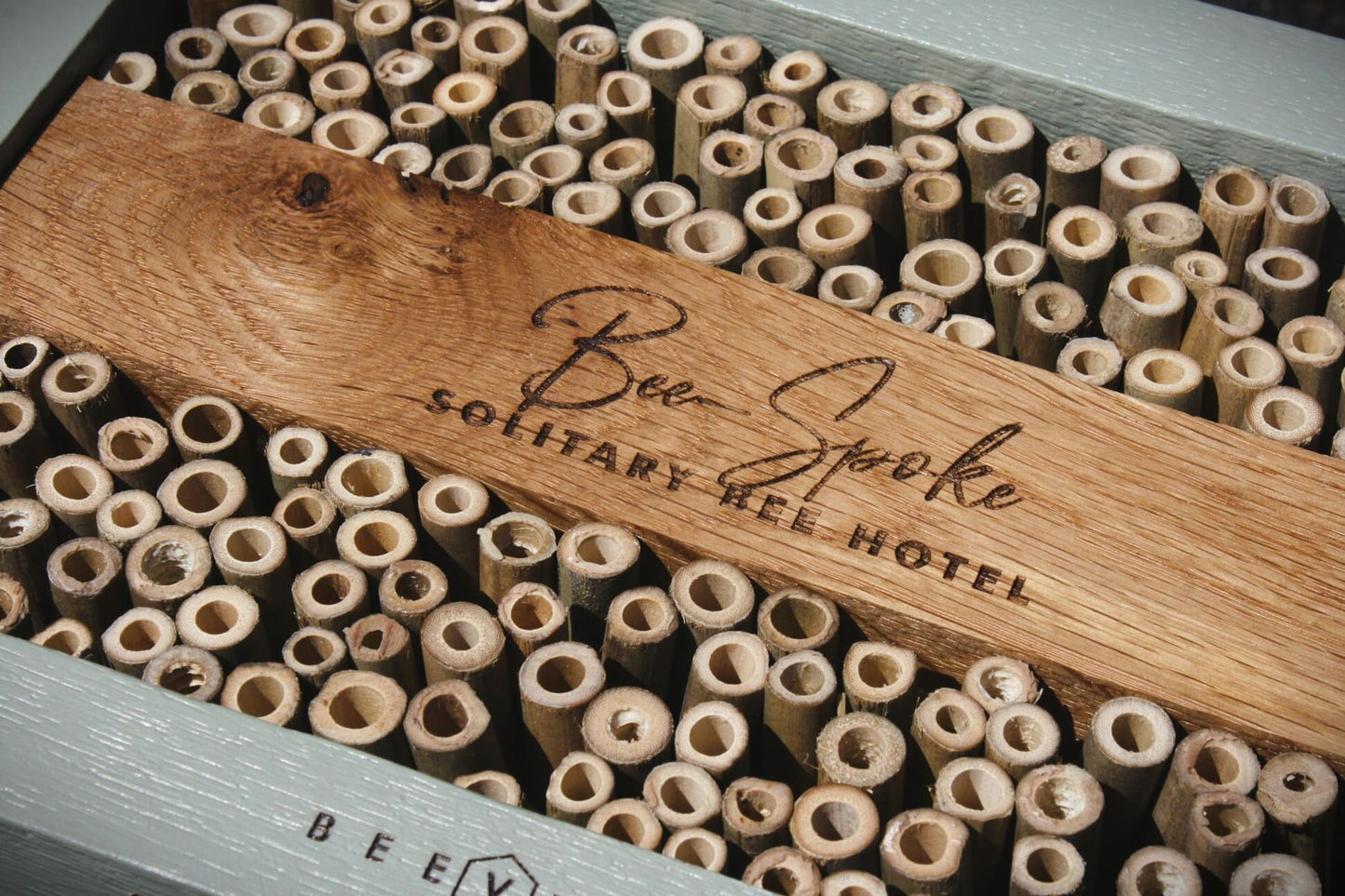 Bee-Spoke Bee Hotel