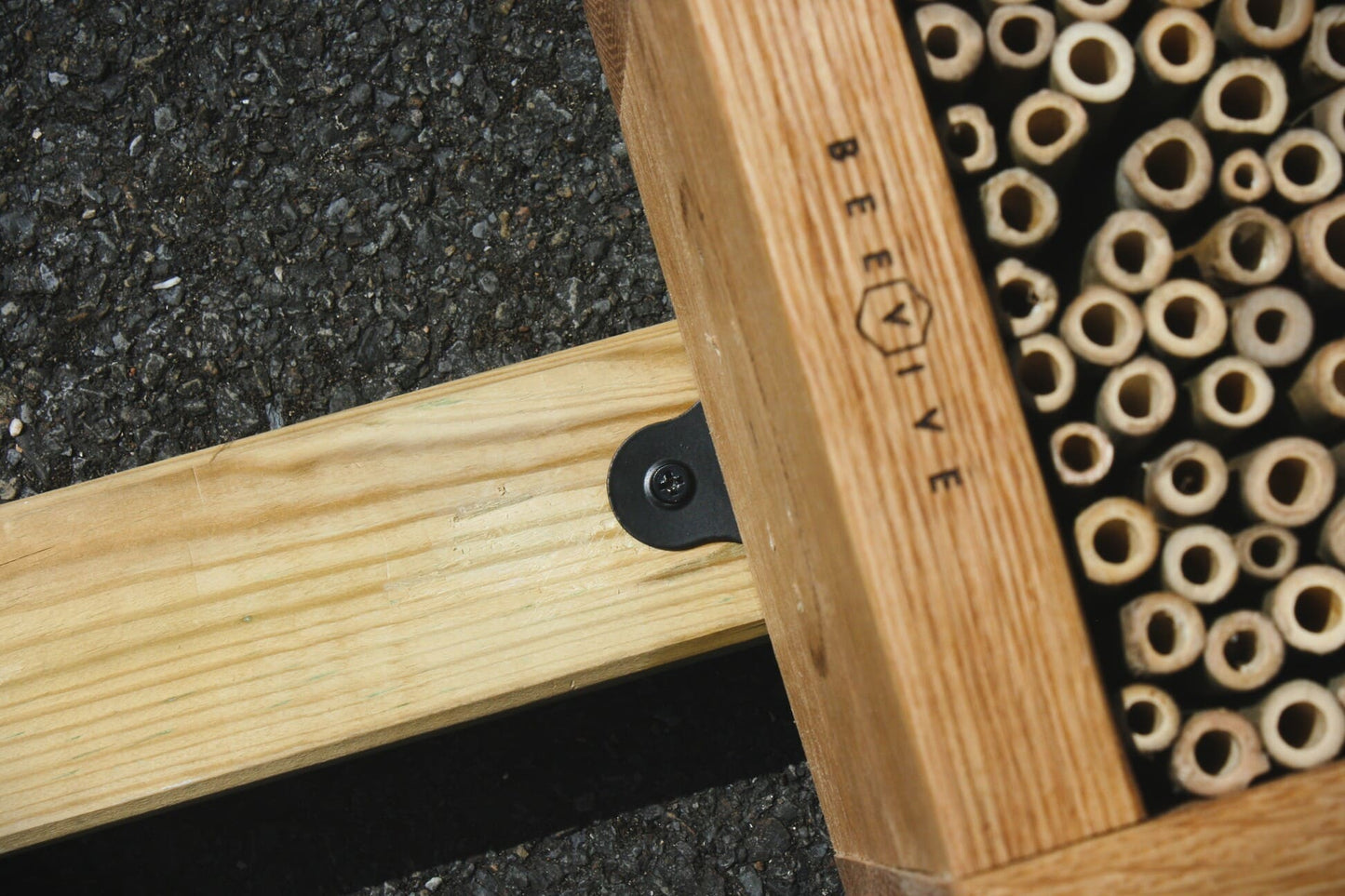 Bee-Spoke Bee Hotel