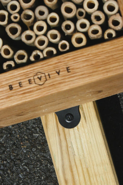 Bee-Spoke Bee Hotel