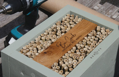 Bee-Spoke Bee Hotel