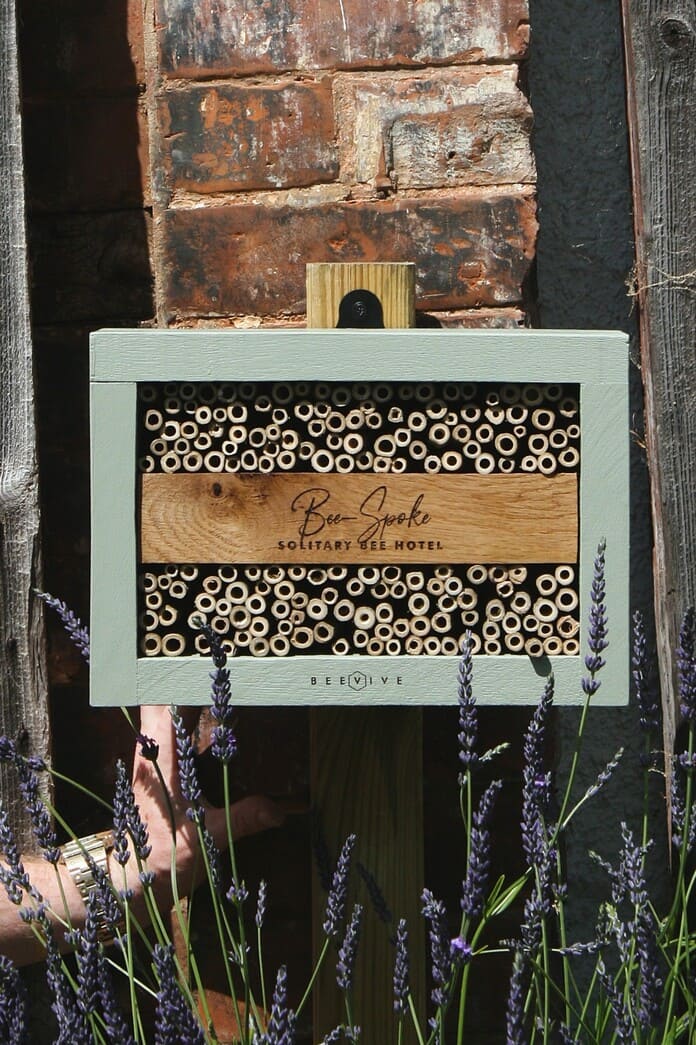 Bee-Spoke Bee Hotel