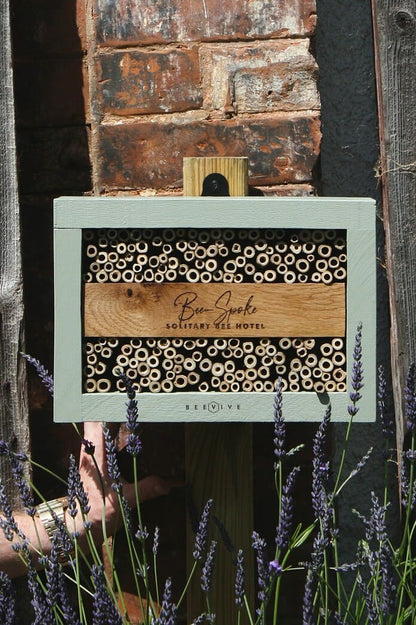 Bee-Spoke Bee Hotel