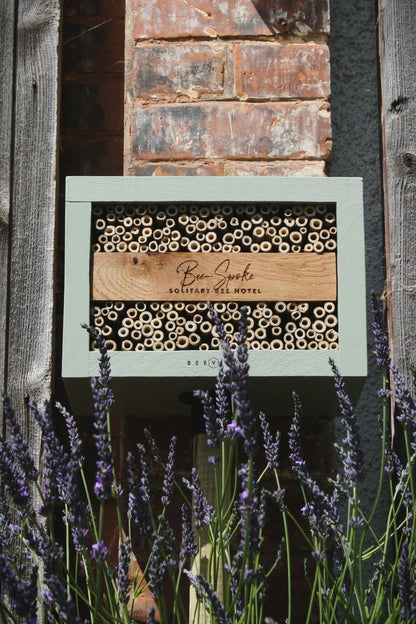 Bee-Spoke Bee Hotel