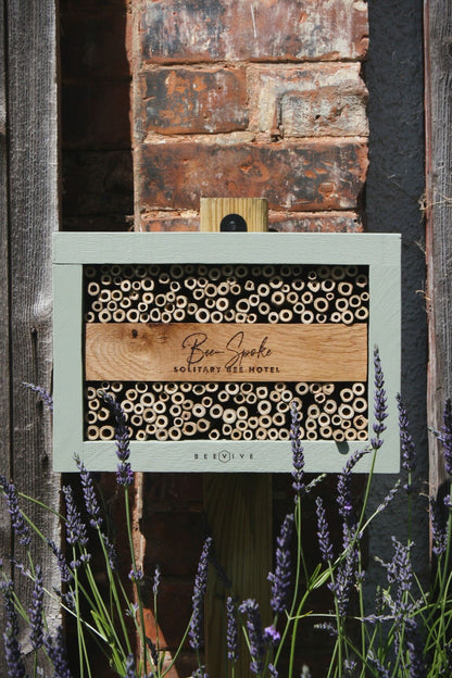 Bee-Spoke Bee Hotel