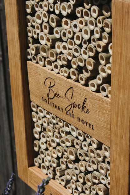 Bee-Spoke Bee Hotel